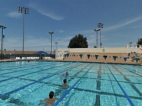 Fridenberg Olymmpic Pool